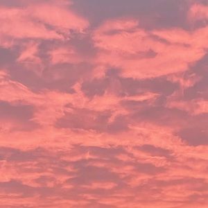 Meet your Posher, Katelynn